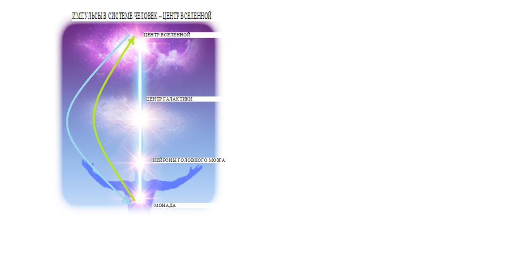 демо21 (2).png